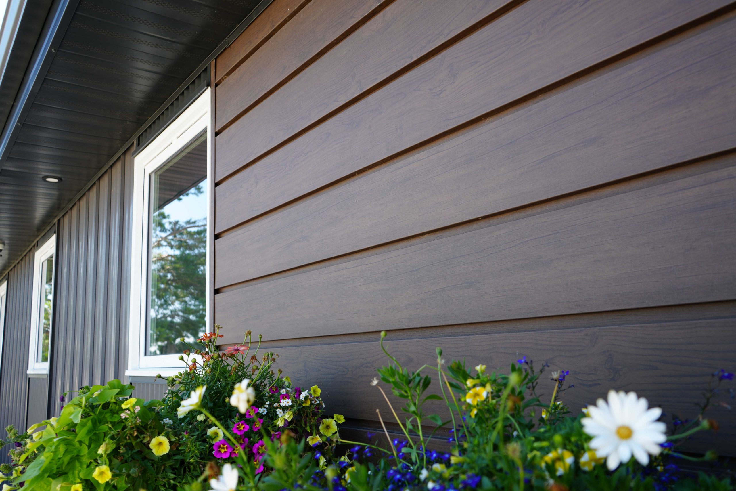 Forma Plank in Dark Walnut Woodgrain