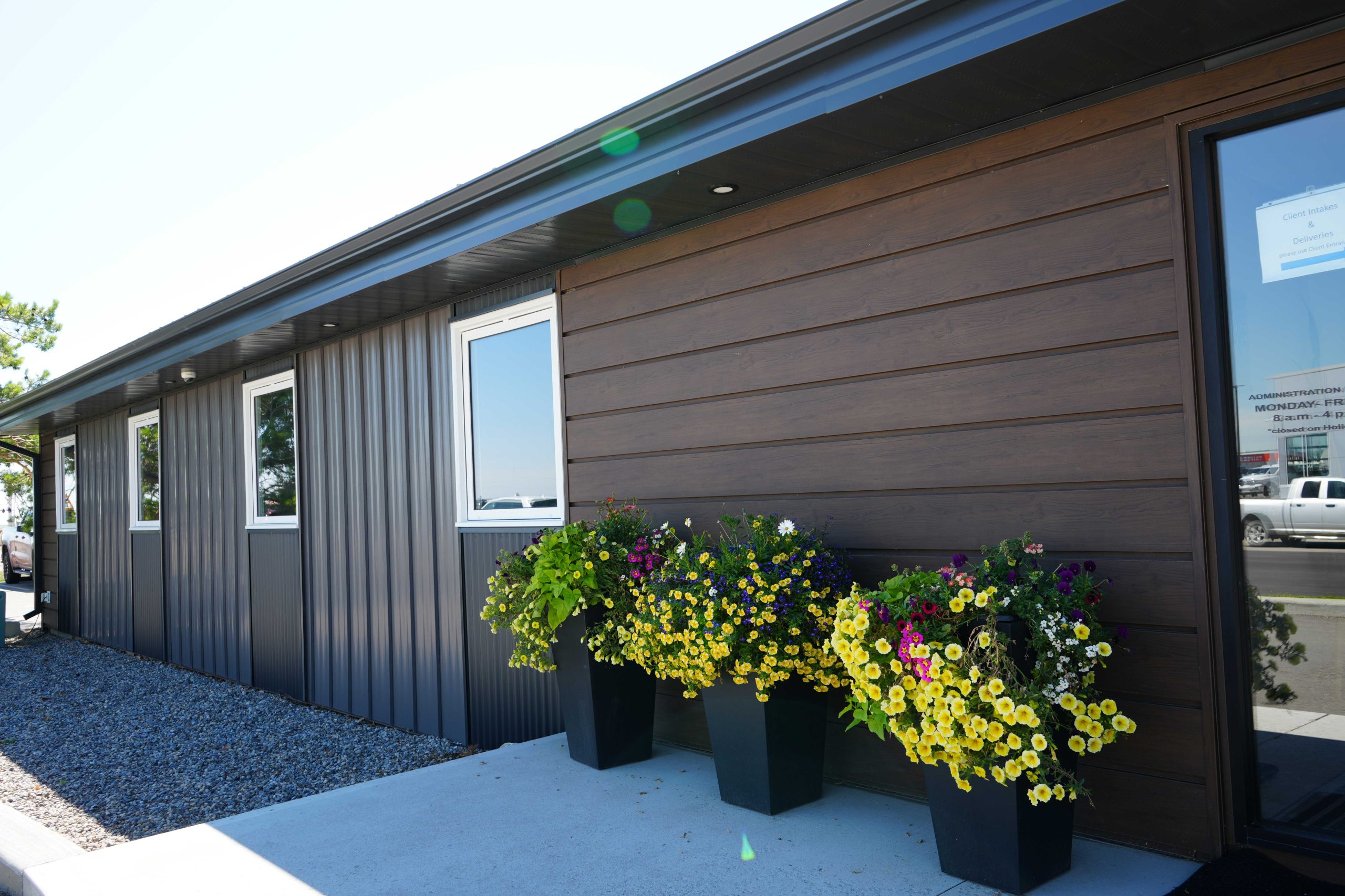 Forma Plank in Dark Walnut Woodgrain
