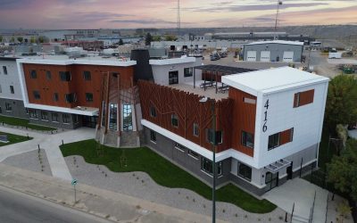 A Dynamic Contribution to Mental Health and Wellbeing