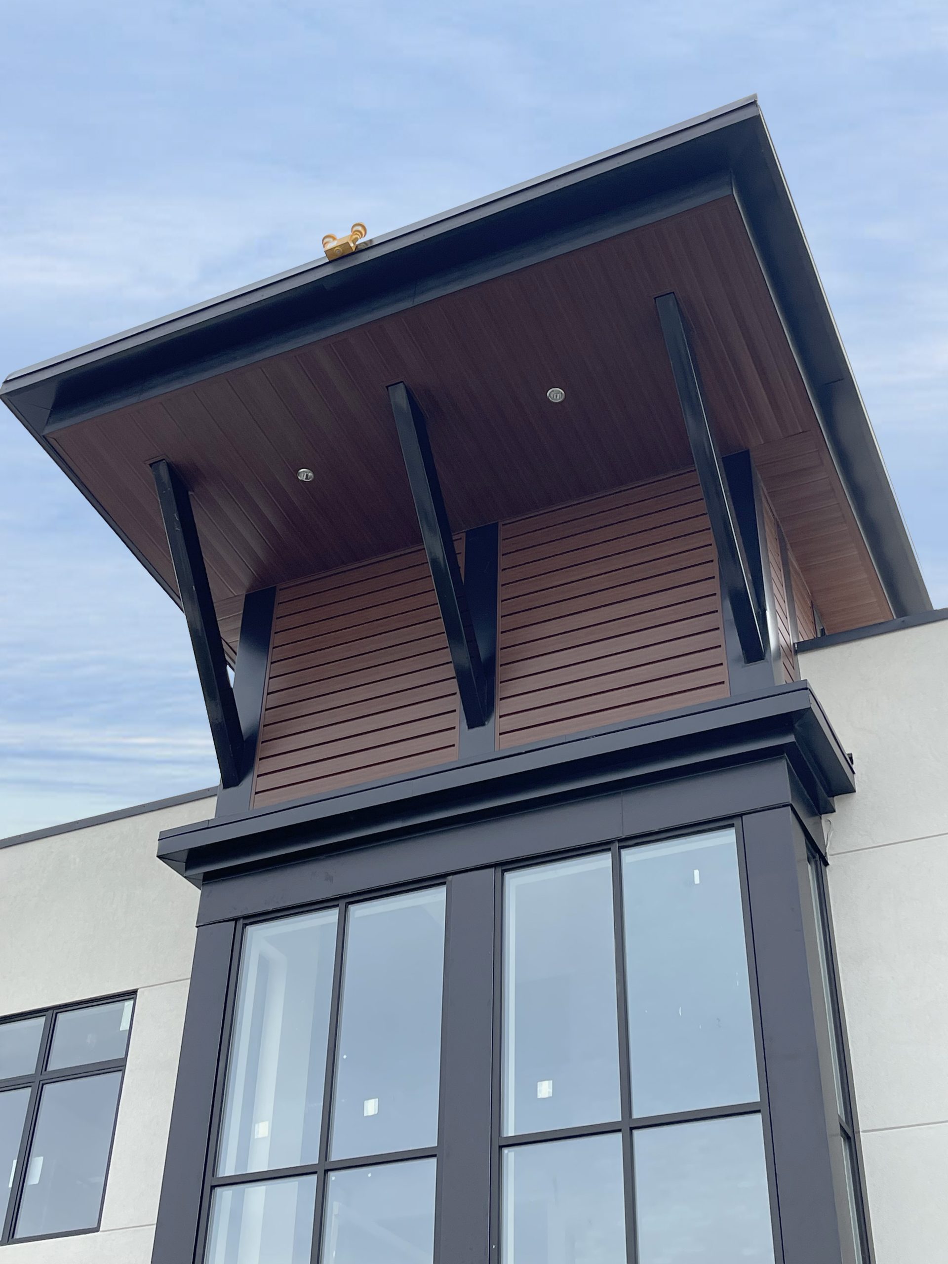 Forma Plank in Espresso Woodgrain and InterLoc Soffit in Espresso Woodgrain